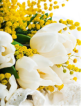 news__image
